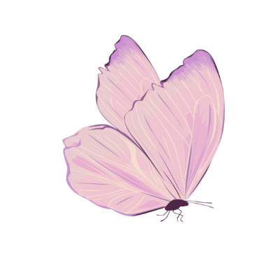 Mariposa decorativa